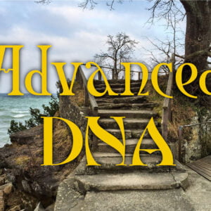 ThetaHealing® Advanced DNA Online Kurs