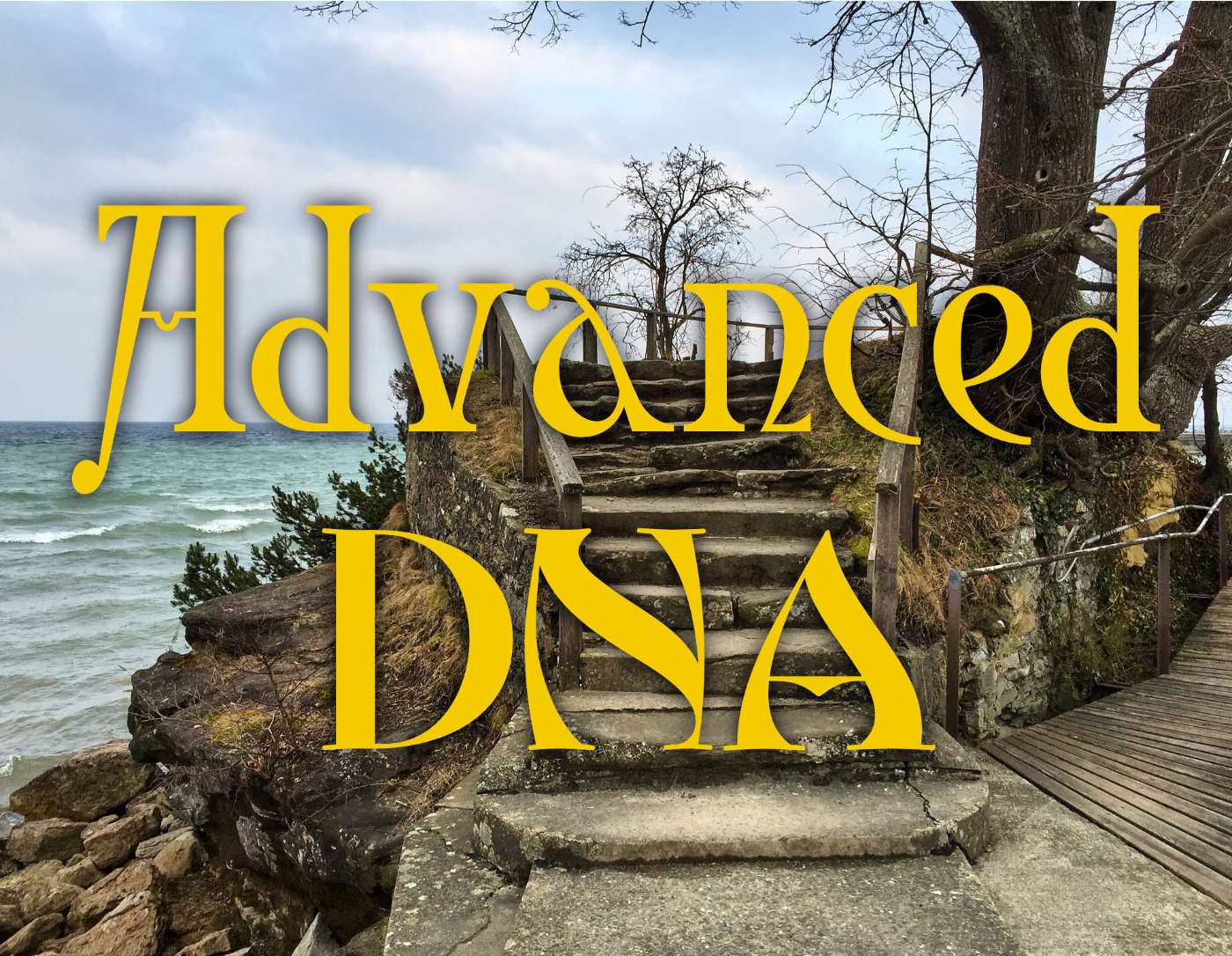 ThetaHealing® Advanced DNA Online Kurs