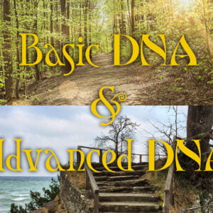 Basic & Advanced DNA - Theta Healing Online Course