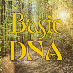 ThetaHealing® Basic DNA Online Kurs