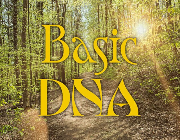 ADN Básico - Curso de Cura Online Theta Healing